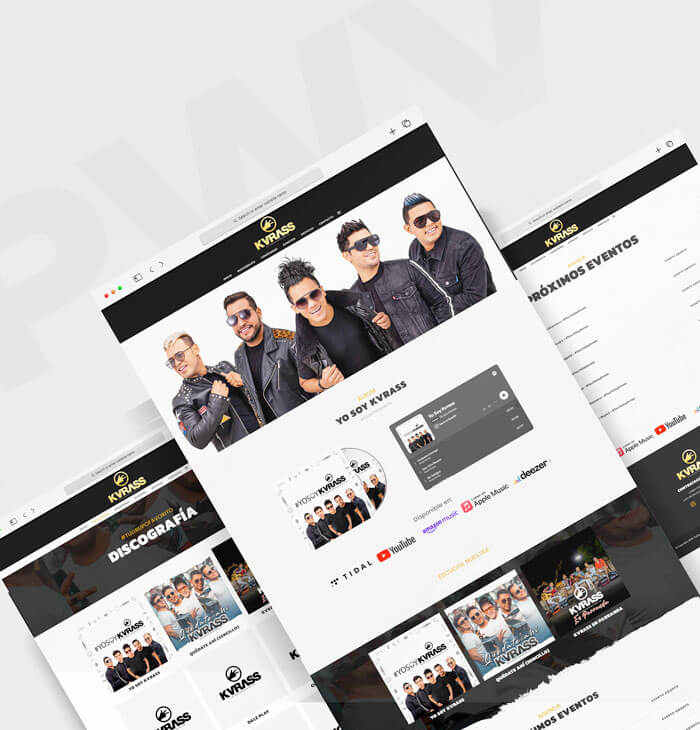 portafolio paginas web sincelejo