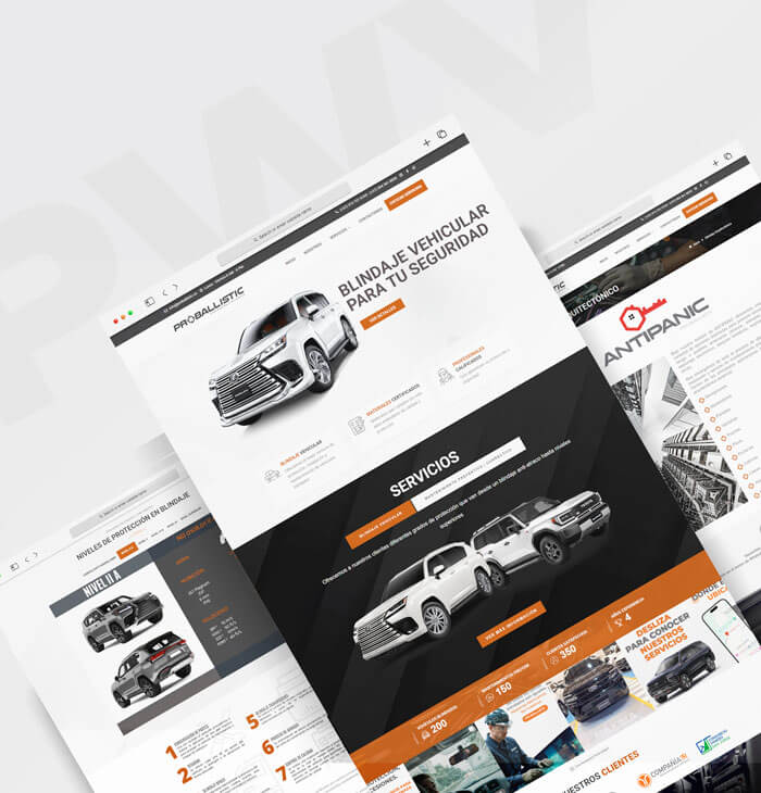 portafolio paginas web sincelejo
